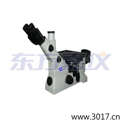 時(shí)代倒置金相顯微鏡